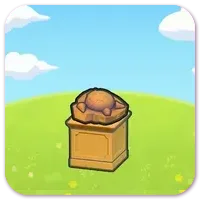 Skull Fossil display