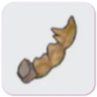 暴君化石（尾部）