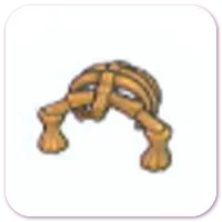 盾牌化石（躯干）