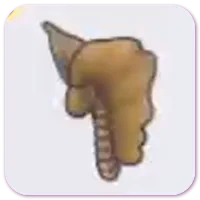 冻原化石（头部）