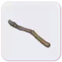 翼化石（右翼）