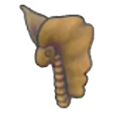 冻原化石（头部）